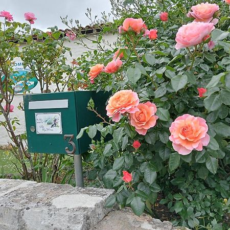 Gites Chez Belliveau Meursac Exteriör bild