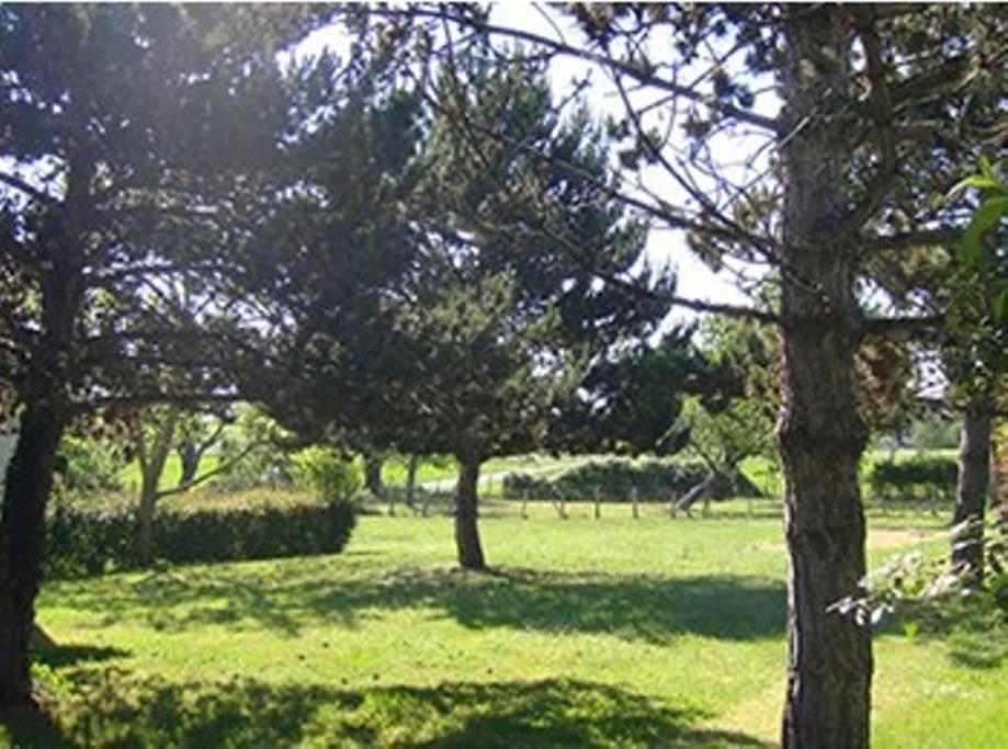 Gites Chez Belliveau Meursac Exteriör bild
