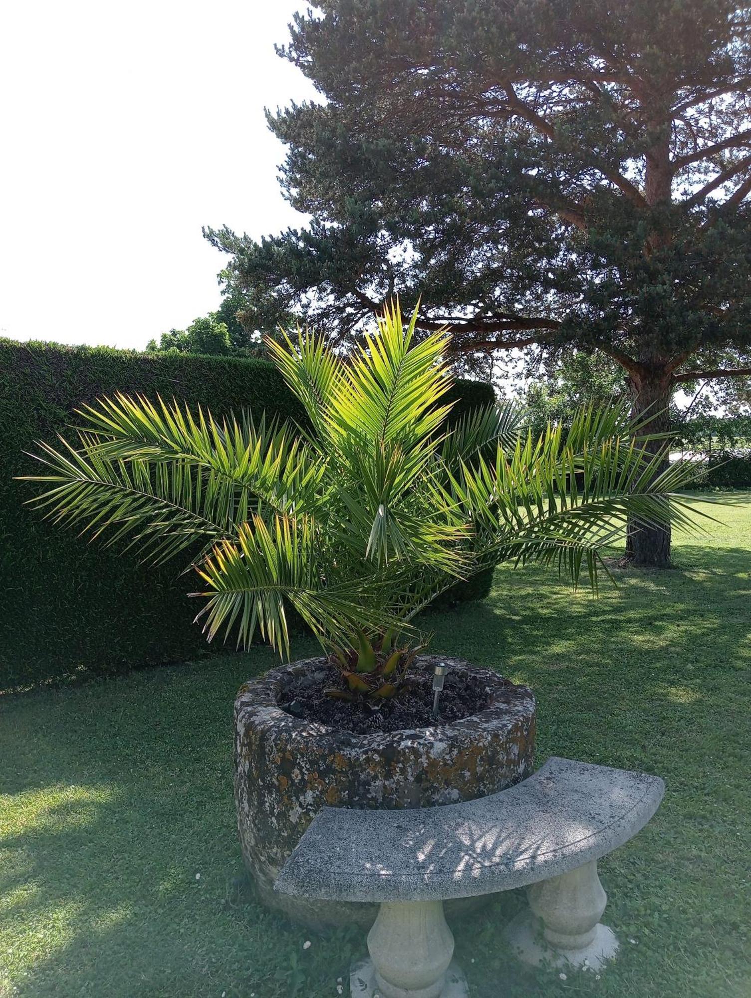 Gites Chez Belliveau Meursac Exteriör bild